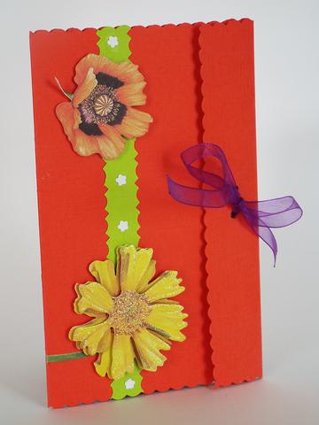 orange marguerite coquelicot