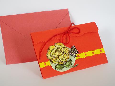 fleur orange rouge papillon animaux