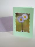 vert violet fleurs