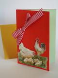 orange rouge poules poussins animaux
