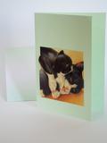 vert animaux